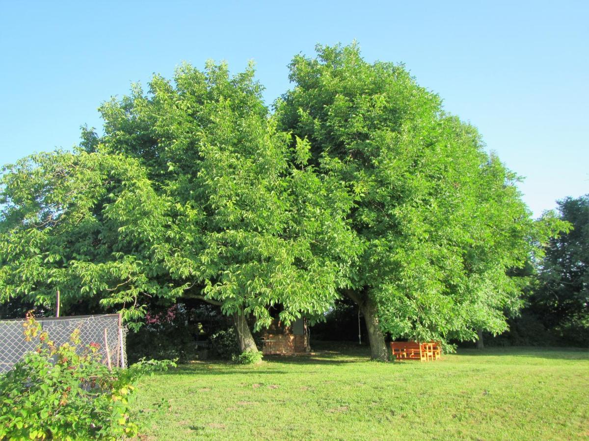 Pod Orehi Bed & Breakfast Postojna Luaran gambar