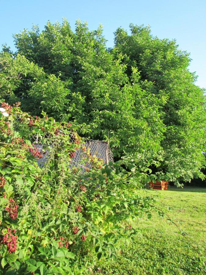 Pod Orehi Bed & Breakfast Postojna Luaran gambar