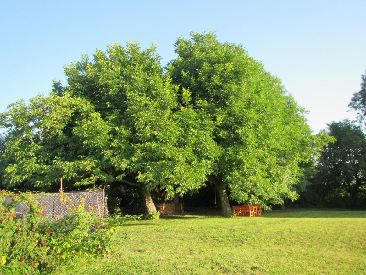 Pod Orehi Bed & Breakfast Postojna Luaran gambar