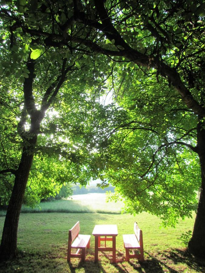 Pod Orehi Bed & Breakfast Postojna Luaran gambar