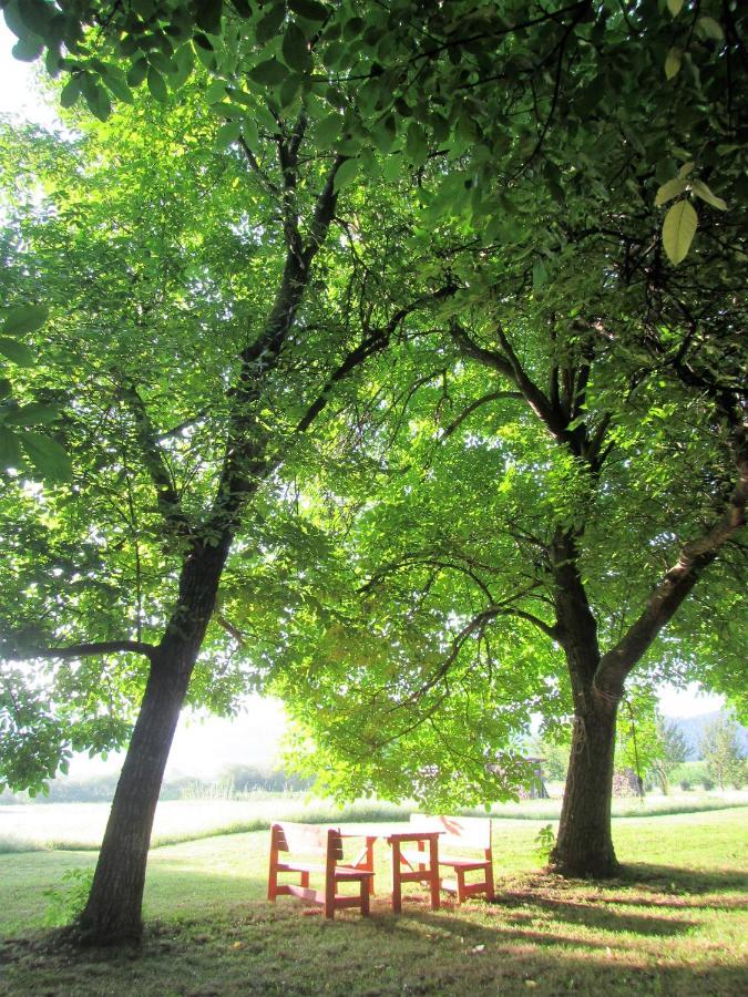 Pod Orehi Bed & Breakfast Postojna Luaran gambar