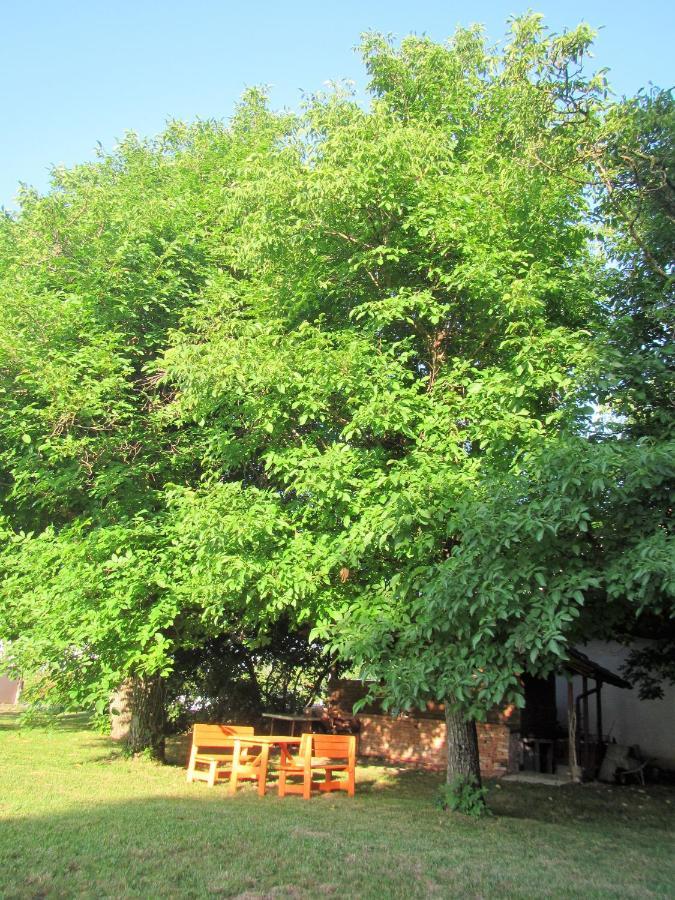 Pod Orehi Bed & Breakfast Postojna Luaran gambar