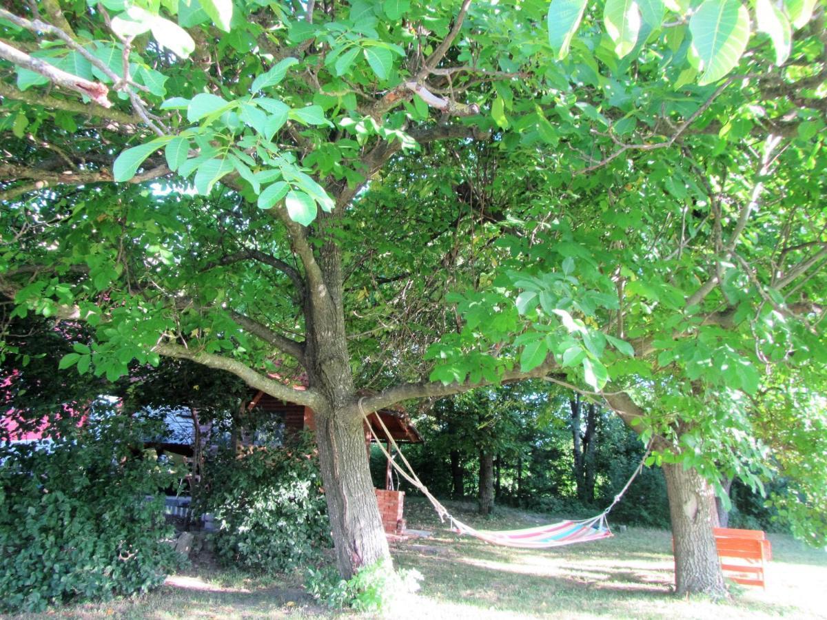 Pod Orehi Bed & Breakfast Postojna Luaran gambar
