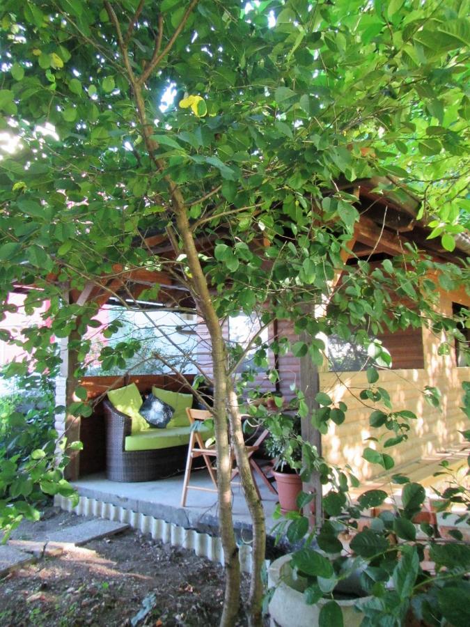 Pod Orehi Bed & Breakfast Postojna Luaran gambar